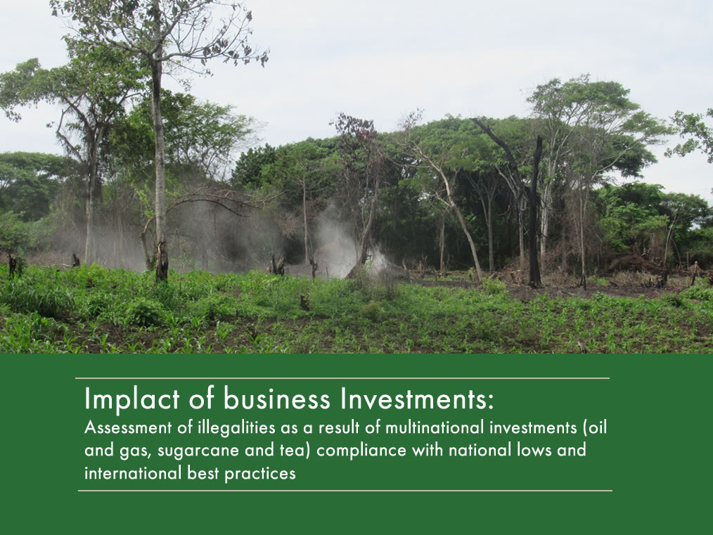 Impact of business Investments