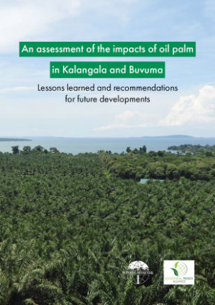 2019 An assessment of the impacts of Oil Palm in Kalangala and Buvuma 