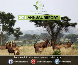 2018 Annual Report 