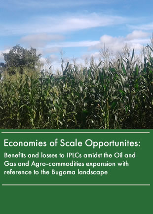 Economies of Scale Opportunites For IPLCs