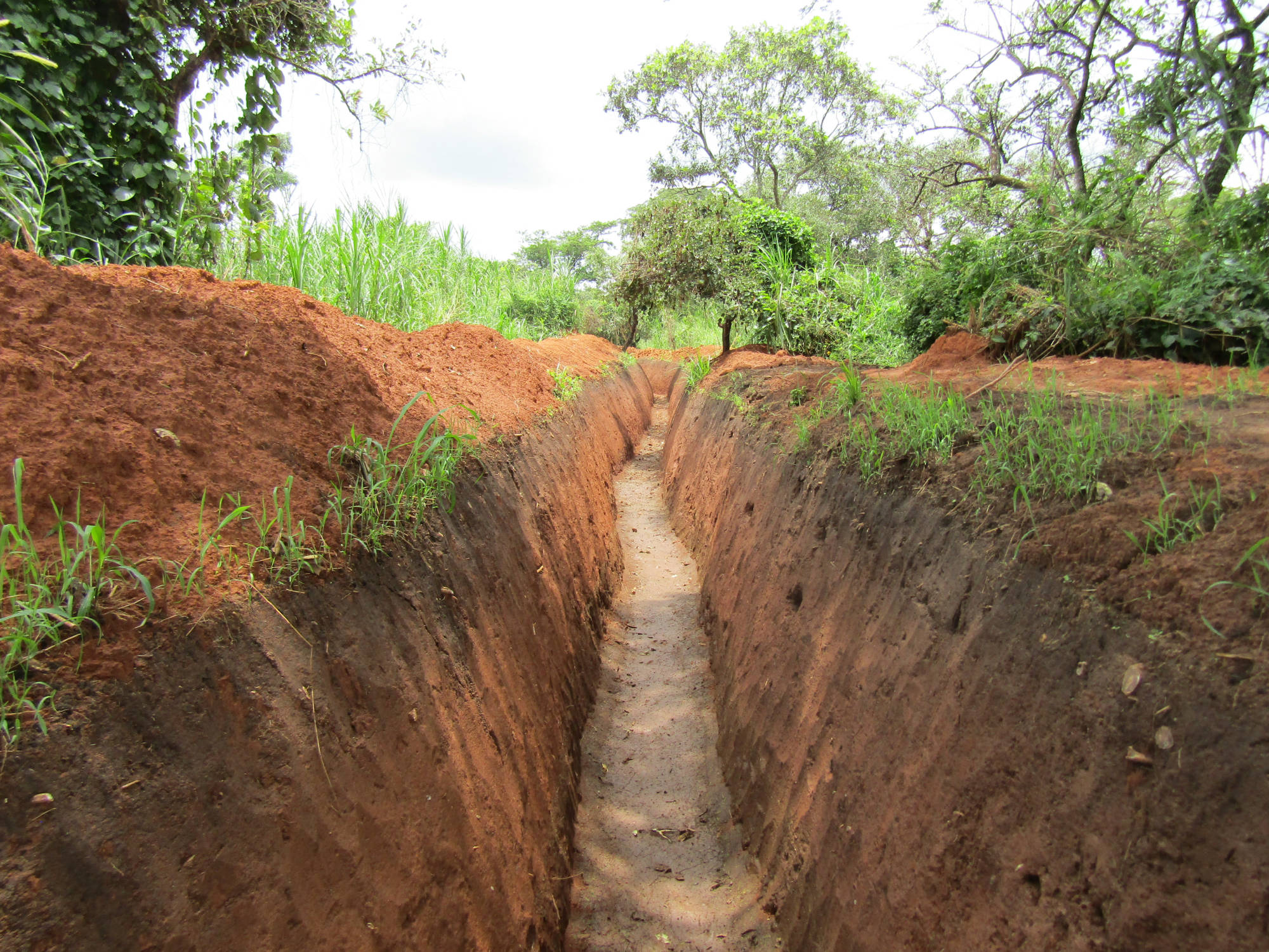 Elephant Trench digging