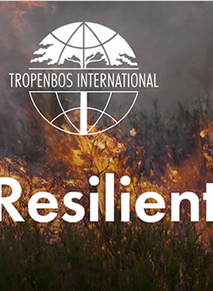 Towards Fire-Resilient Landscapes