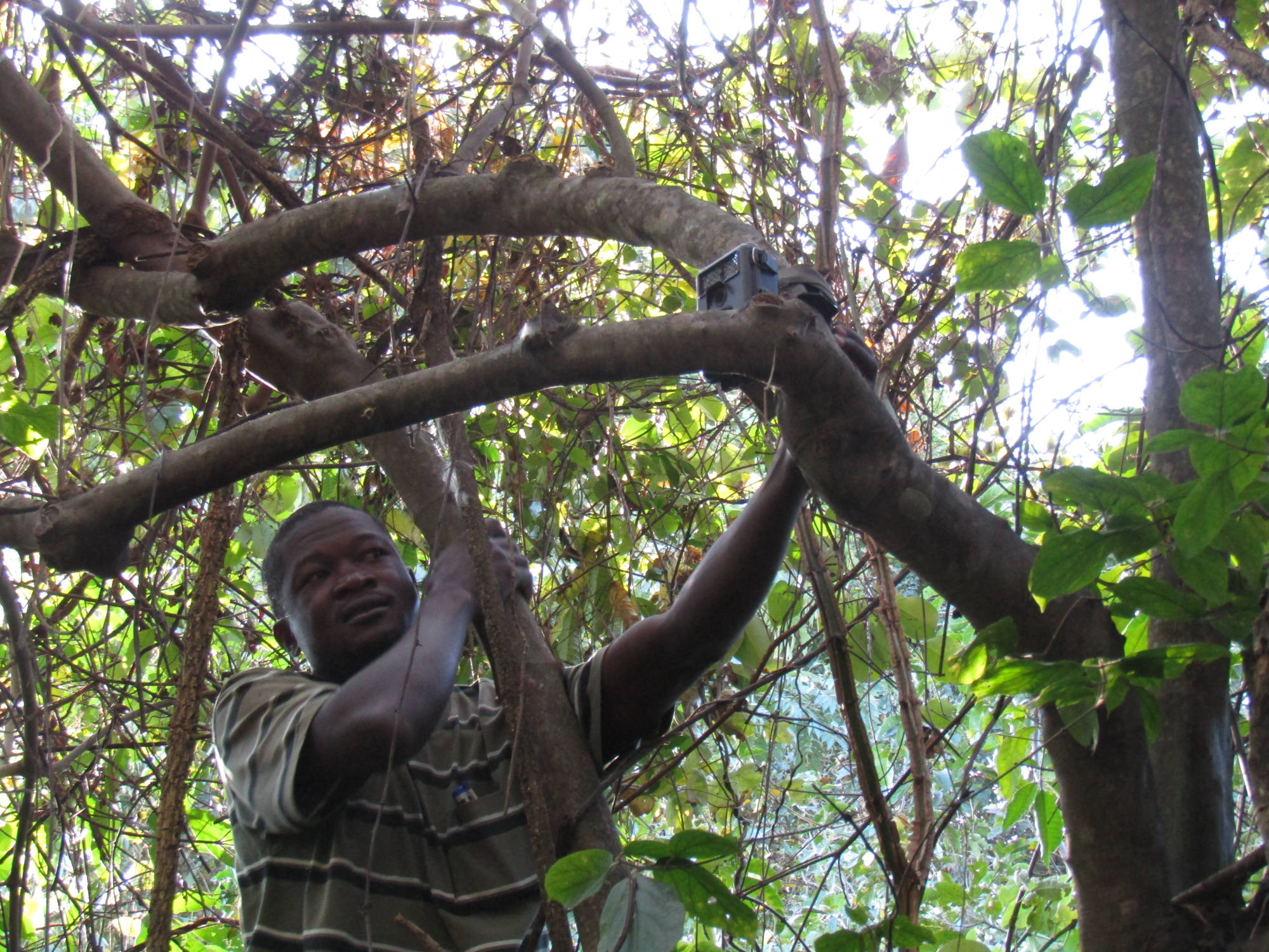 Camera Trap setting