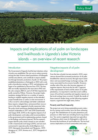 Impacts and implications of oil palm on landscapes and livelihoods in Uganda’s Lake Victoria islands – an overview of recent research
