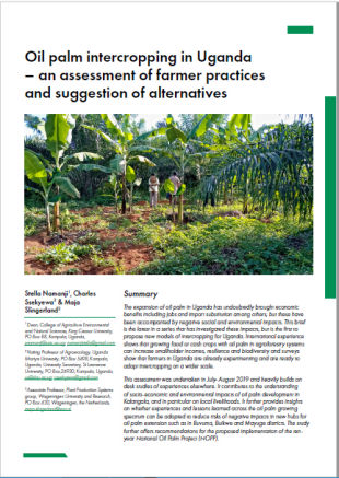 Oil Palm Intercropping in Uganda - An assessment of farmer practices and alternative suggestions