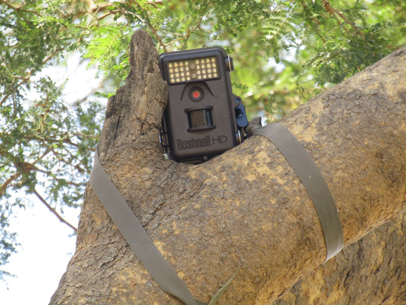 Camera Trap