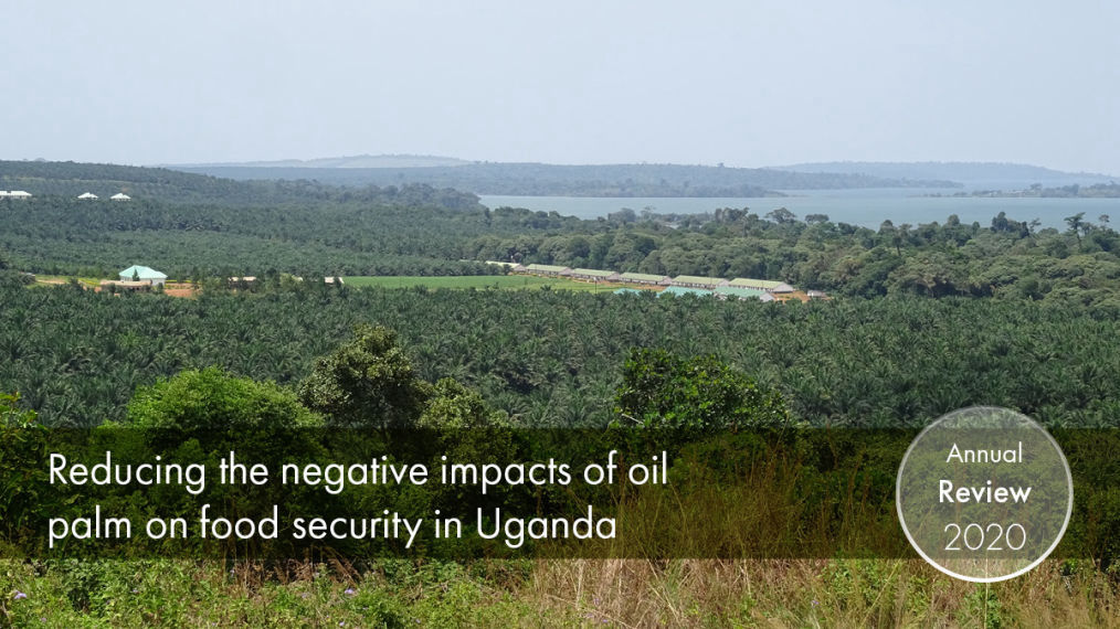 Reducing the negative impacts of Oil Palm on food security in Uganda