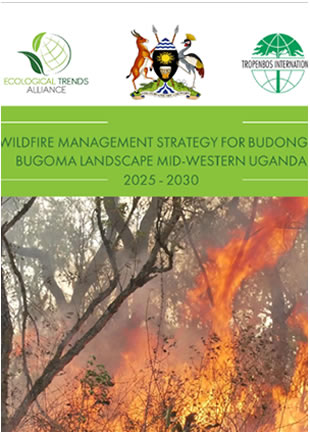 Wildfire Management Strategy