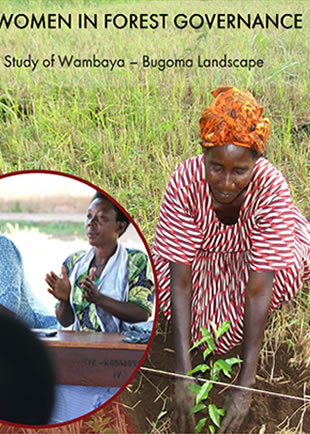 A Case Study Of Wambaya